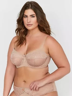 Ashley Graham Ladies Fatal Attraction Underwire Bra Size 18C 18D Cappuccino • $14.99