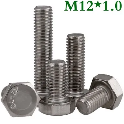M12 X 1.0 Fine Thread 304 Stainless Steel Hex Head Bolts Hex Cap Screws DIN 933 • $6.62
