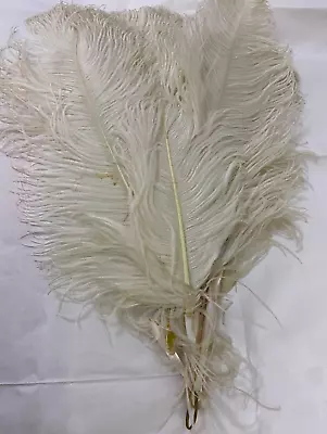 Antique Edwardian Ostrich Feather Fan - Mother-of-pearl. Provenance • $59.76