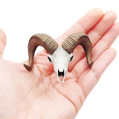 Big Horn Sheep Skull 1:12 Scale Artisan Dollhouse Miniature Replica Oddity • $27