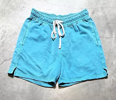 Men’s UO Urban Outfitters Lucien Vintage Wash Teal Green Volley Shorts Sz M • $20