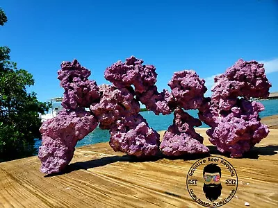 20 Lbs Purple Coraline Med/Lrg Dry Reef Base Rock Lightweight Porous Live • $79.99