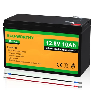 $43.55 • Buy 12V 10Ah Rechargeable LiFePO4 Lithium Iron Phosphate Battery 3000+ Deep Cycle RV