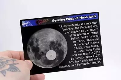 **Genuine Piece Of Moon Rock** NWA 11273 Lunar Meteorite Fragment On Infocard • $22.40