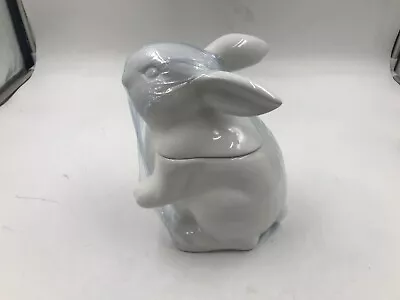 Providence Ceramic 8in Bunny Cookie Jar CC01B48005 • $33.14