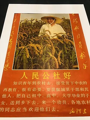 Chinese Poster Chairman Mao Long Live Propaganda Vintage Cultural Advertising • $18.99