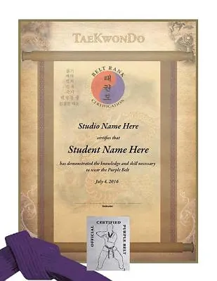 Martial Arts Certificates - TaeKwonDo & Karate Rank Certificates - Pack Of 10 • $18.99