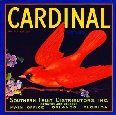 Cardinal Brand Orange Orlando Florida Citrus Fruit Crate Label Vintage Art Print • $12.50