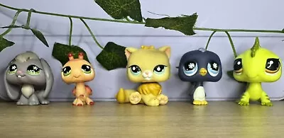 Littlest Pet Shop Bundle #6 • £15