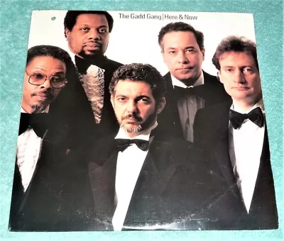  STILL SEALED  VINYL LP By THE GADD GANG / SEE PICTURES FOR TITLES & TRACKS • $25