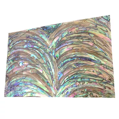 1x Abalone Shell Sheet Veneer Inlay 9 1/2 X5 1/2 X1/64  (240x140x0.4mm) Luthier • £20.83