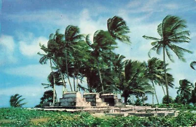 Postcard Vintage Burial Ground Marshallese Royalty Ailinglaplay Marshall Islands • $2.50