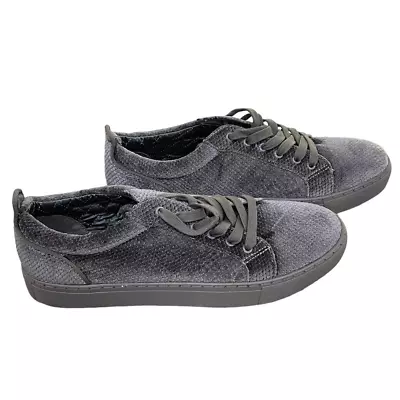 STEVE MADDEN Men's Yali Velvet Low-Top Sneaker Gray 9 • $45