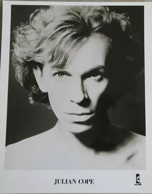 Julian Cope Island Records Publicity Music Photo 8x10 Original Vintage Rare Rock • $15.99