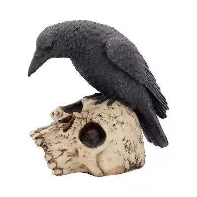 Nemesis Now RAVENS REMAINS Gothic Black Bird Crow Skull Figurine Ornament 13cm • £13.99