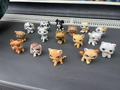 Littlest Pet Shop Dogs And Cats Bundle Hasbro Authentic Cute Animals Rare LPS • £36