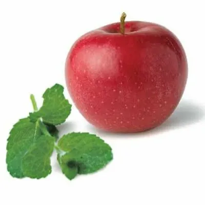 APPLE MINT 25x SEEDS RARE Fresh Herb Grow Your Own Herbal Fruit Tea Plant  • £3.48