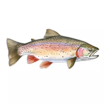 Rainbow Trout Sticker Fishing Vinyl Stickers Decal Brown Car Truck Bumper RV SUV • $4.50