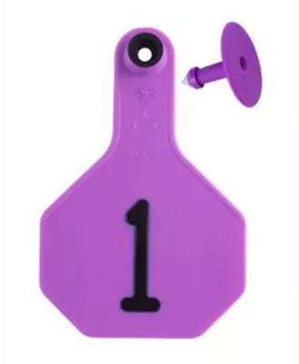 YTex 3 Star Medium Cattle ID Ear Tags Purple Numbered 51-75 • $37.49