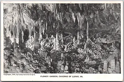 $3.89 • Buy Luray Virginia VA Flower Garden Caverns USA 1926 Vintage WB Postcard UP