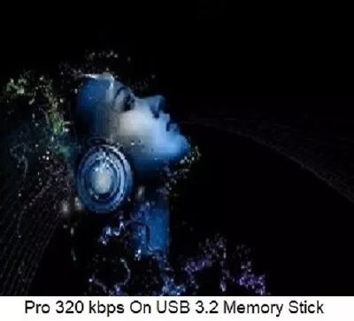 Deep House Vol. 2 Back Catalogue 9000 High Quality DJ Friendly MP3’s (On USB) • £49.99