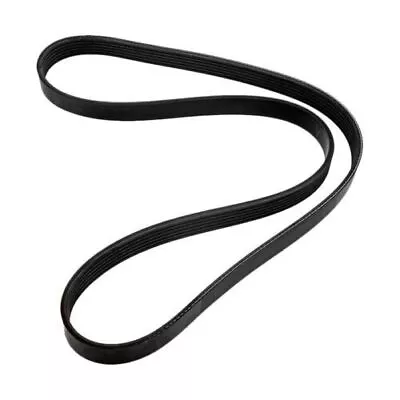 New Serpentine BELT Alpha For MerCruiser V6 V8 4.3 5.0 5.7 57-865615Q04 • $24.99