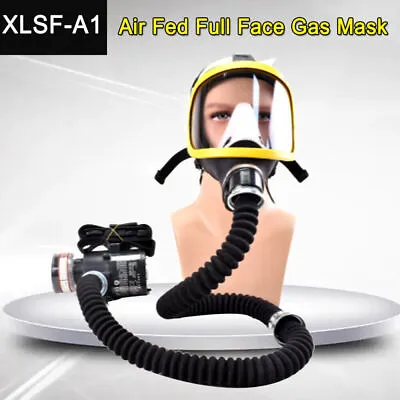 Electric Full Face Gas Mask Constant Flow Respirator Supplied Air Fed System • $288