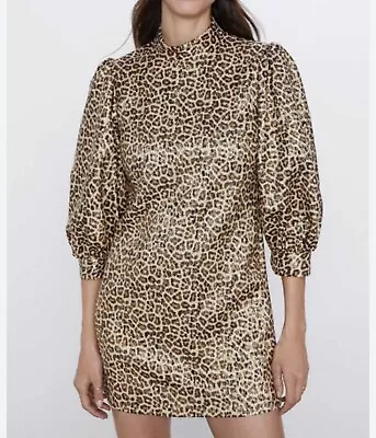 Zara Leopard Dress XS • £10