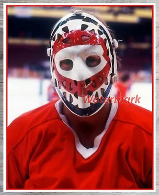 NHL Ken Dryden Montreal Canadiens The Mask  Color 8 X 10 Photo Picture • $5.59