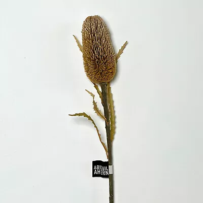 Brand New Abigail Ahern Single Stem Banksia Cinnamon | Faux Artificial Flower • £14.95