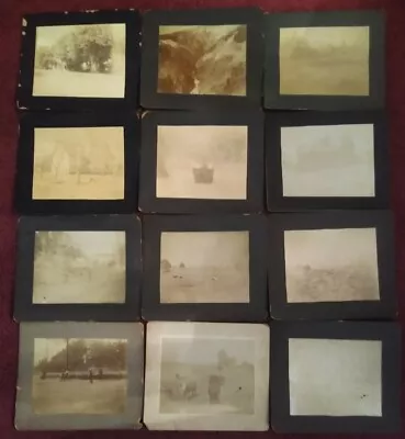 Lot Of 12 Old Antique Vintage Photographs ~ Cows Horse & Buggy 3 Ladies On Swing • $14.95