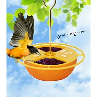 Heath Citrus Buffet Oriole Feeder Heathcf131 Feeds Nectar Jelly Mealworms Fruit • $16.75