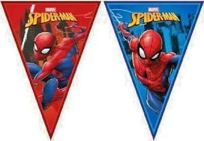 SPIDERMAN BUNTING - BIRTHDAY PARTY FLAG BANNER 2.3 Metres Boy Girl Child GENUINE • £3.79