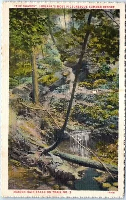 Postcard - Maiden Hair Falls On Trail No. 3 At  The Shades  - Indiana • $3.46