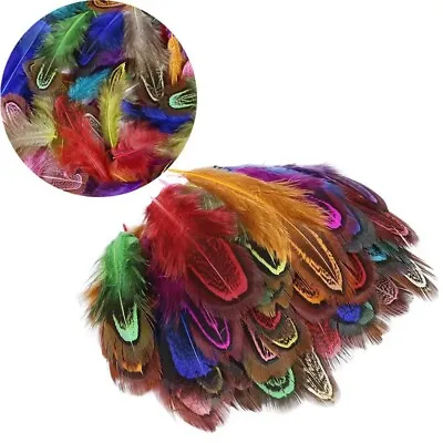 Pheasant Feathers Natural Mini Pheasant Dyed 3-8cm Fluffy Specialised Small Bird • £4.99