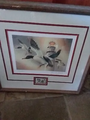 Joanna Rivera Merganser Ducks In Flight Lighthouse Print & Stamp 2005 Delaware • $145