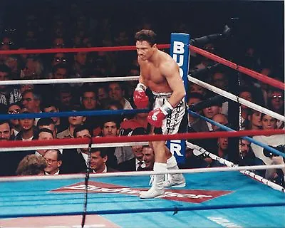 Vinny Pazienza 8x10 Photo Boxing Picture In Corner • $4.99