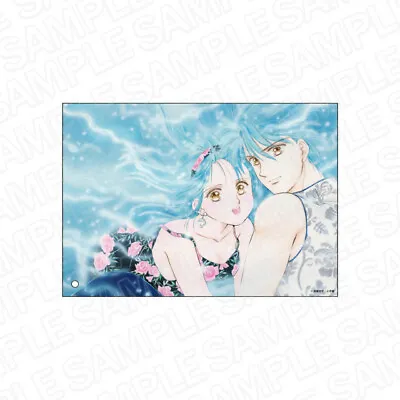 FUSHIGI YUGI Tamahome And Miaka Yuki Acrylic Art (Stand)【Direct From Japan】 • $29