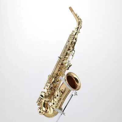 YANAGISAWA Alto Saxophone A-902 Bronze Model Disassembly Cleaning Tampo Cleaning • £1885.19
