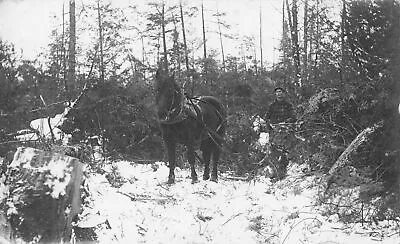 NW RPPC Northwestern Michigan Counties Logging Company HISTORICAL CREW VIEWS! 10 • $16.99