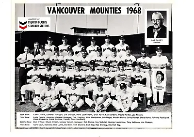 ORIGINAL 1968 VANCOUVER MOUNTIES 8x10 TEAM PHOTO LARUSSA BOROS VINSON LACHEMANN • $75