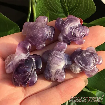 5pc Natural Dreamy Amethyst Turtle Carved Mini Quartz Crystal Skull Healing Gift • $15.12