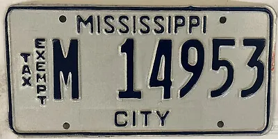 THIN BLUE LINE MUNICIPAL CITY POLICE License Plate Government Officer Law Cop MS • $79.99