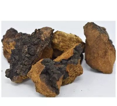 2.08 Pounds - Northern Minnesota CHAGA Chunks -  PREMIUM MUSHROOM TEA ORGANIC • $45