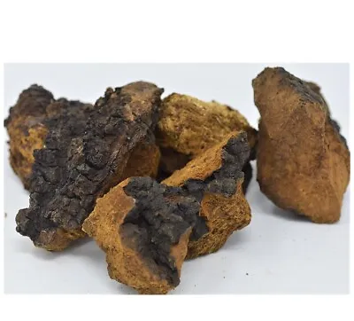 Northern Minnesota CHAGA Chunks - 1.08LB PREMIUM MUSHROOM TEA ORGANIC • $29.99