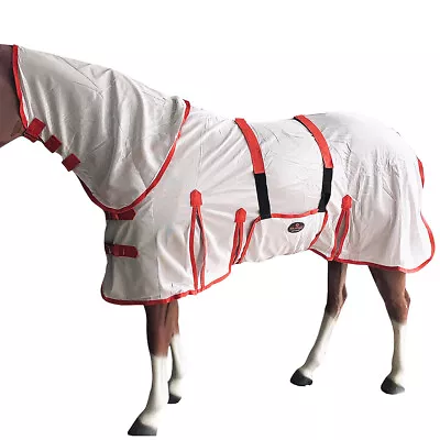 97RS 66-84  Hilason Horse Fly Sheet Uv Protect Mesh Bug Mosquito Summer Spring • $49