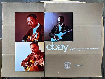 CHICAGO BLUES PHOTO LOT Of 3: MUDDY WATERS Chess Records DON BRONSTEIN 8x8 Color • $37.99
