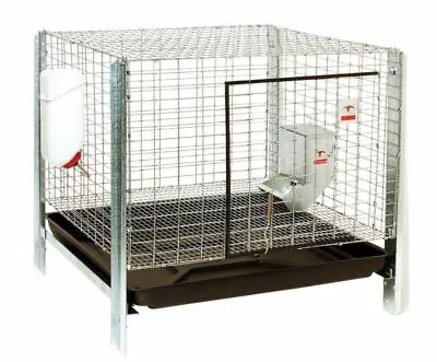 LITTLE GIANT Rabbit Hutch Complete Kit - Pet Lodge - Easy To Assemble Housing • $79.99