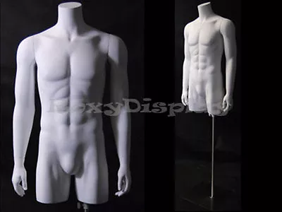 Male Mannequin Torso With Nice Body Figure And Arms #TMW-MD • $155