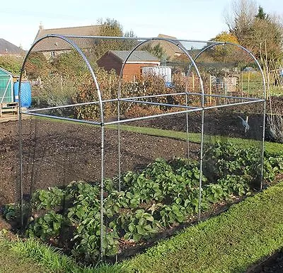 Fruit Vegetable Garden Cage With Netting Tall Domed Aluminium - Various Sizes • £82.99